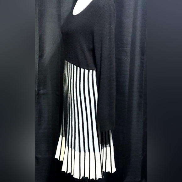 Calvin Klein, Knit, Colorblock, Pleated Bottom, Sweater Dress, Size 2X, NWOT - Picture 8 of 12